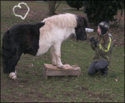 mon beau Steew-boys qui fait le poney de cirque (: 