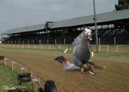 Un cheval sur le dos d'un cavalier