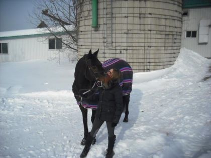 je l'aime mon cheval !