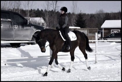 Qu'elle bonne jument cette Shany! :)