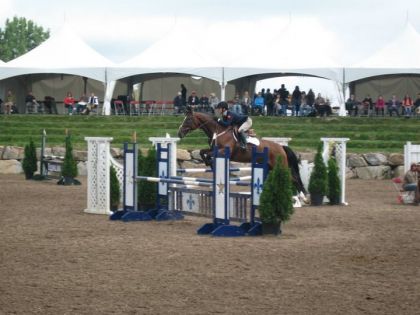 JEQ 2010