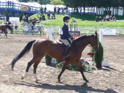 JEQ 2010