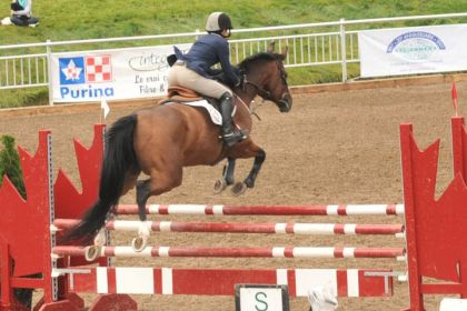 JEQ 2010