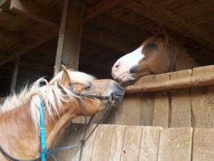 Puntila & Liroy !