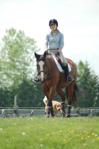 Les trois mousquetaires :D <3 Alex&Sheeba&Sassy