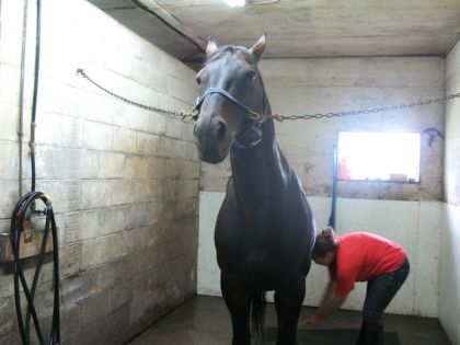 Cruiser dans la douche :)