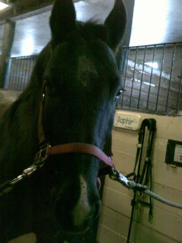 Jacob :)