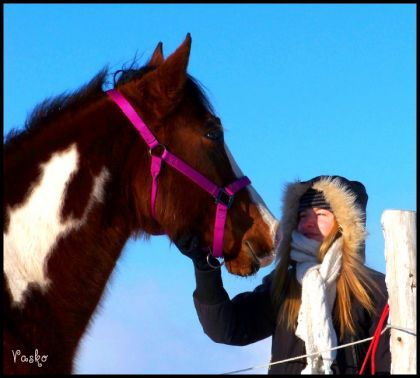 Encore Vasko, cheval de Raiinbow_x avec mon amie Stéphanie ! :-) 