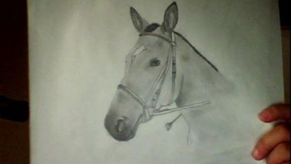 Jument de mon amie :)<3