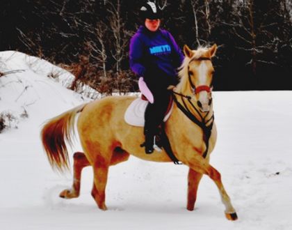 Petit galop dans la neige