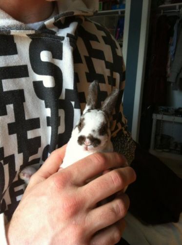 Mon petit nouveau, voici Chuck! :-) 