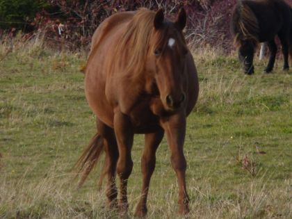 Ma belle Daisy d'amouur :)
