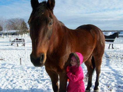 l'amour na pas d'age pour les chevaux !