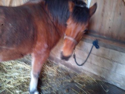 Ma Fridouille :-) (L)
