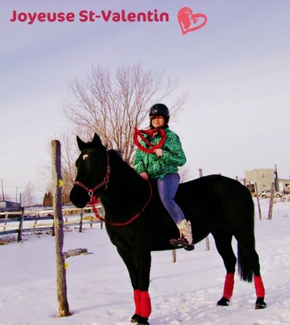 Joyeuse St-Valentin
