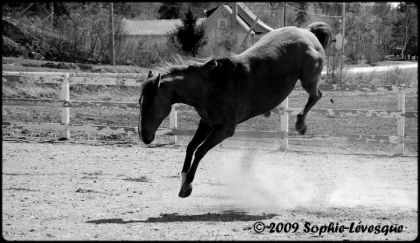 Yeah, I heard you are the wild one ... 