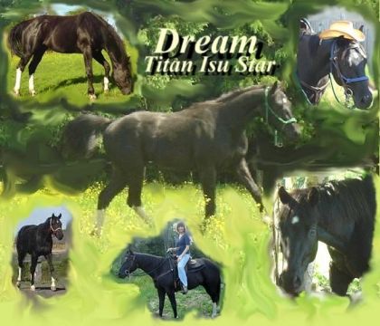 Dream titan isu star, mon grand amour !