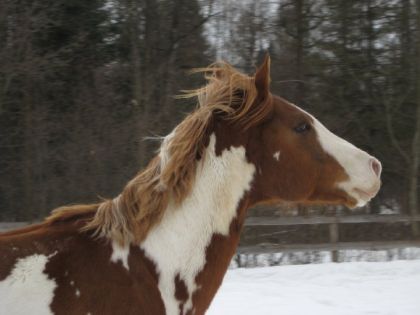 Je l'adore et il me manque...