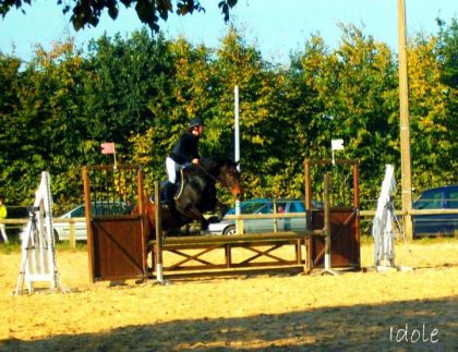 Idole, concours
