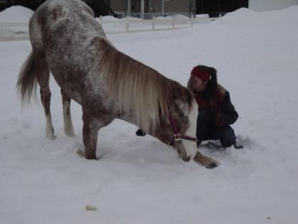 Belle révérence de ma fille ! Enfin une photo qui prouve que...