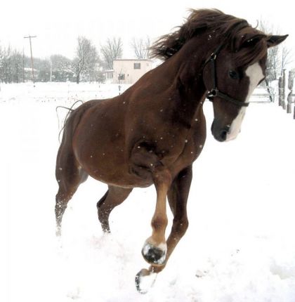 mon bb qui samuse ben fort ! :) voter
