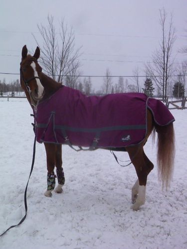Cybelle qui prend la pose! - Première sortie à l'extérieur à sa...