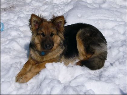 Ma belle Kayla!