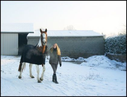 Neige 2012