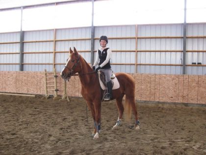 Première monte sur ma pouliche : Ladzour, fille de Bratt Z <3