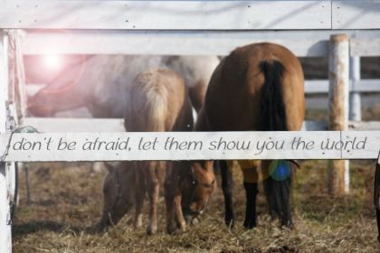 don't be afraid, let them show you the world. 