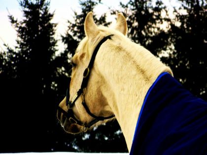 Diamond <3