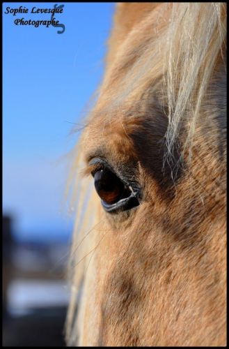 photo par WildTime