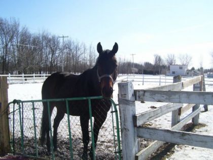 Mon Ti-Loup qui est tout heureux de voir enfin le soleil!