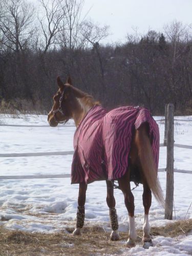 Ma Cycy qui prend du bon temps dehors! - 12 mars 2012