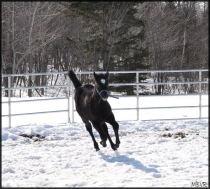 Disons qu'elle est en forme ma petite pouliche!