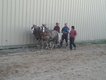 Les gars fi&egrave;re de leurs tir &agrave; Notre-Dame-Du-Lac