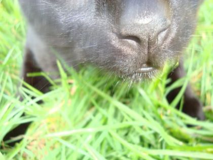 il est photogénique mon gros lou!