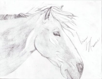 un dessin que jai fait dans la soirer