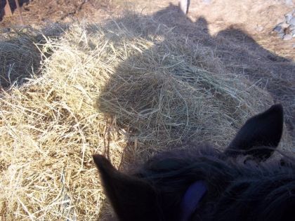 photo par MissPeggy7