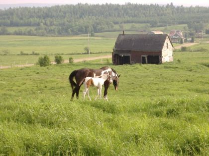 Éclipse & Thunder