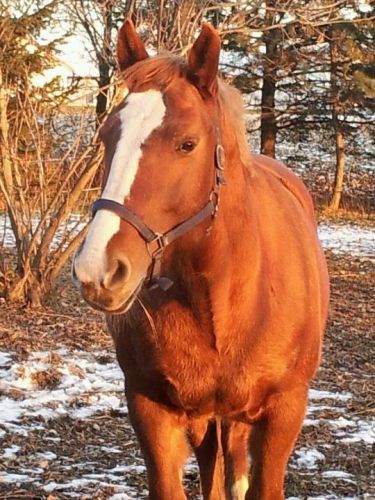 Praline <3