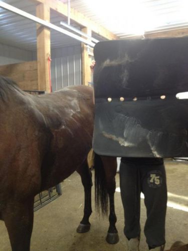 ouff il était stresser l'poney ! en plus qui fesais chaud