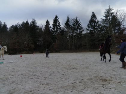 Petite chute avec le nouveaux cheval Ugo x)