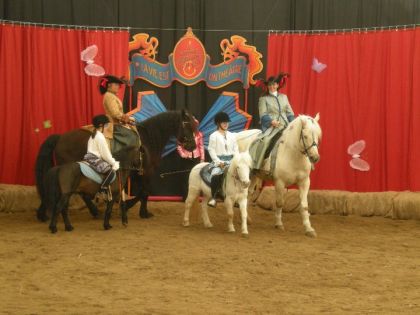 Le quadrille des Blancs et Noirs, Spectacle équestre le...