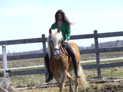 Pouaha, Tel maitre tel cheval ^