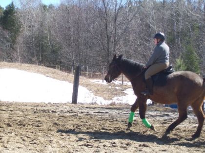 Départ au galop avec toutoune