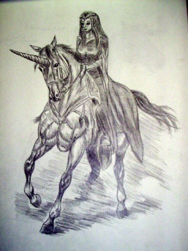 photo par Myhorsez