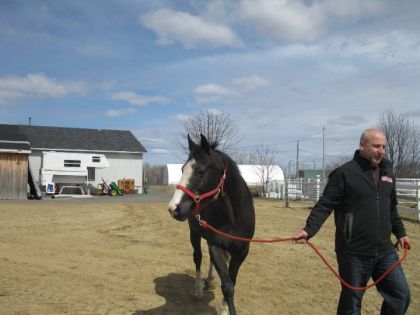 Mon pere qui apporte Ally avec Athéna dehors!