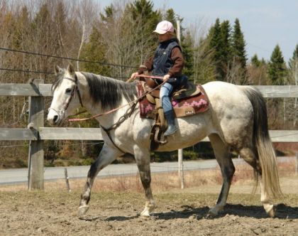 Gabrielle sur Dapple :) Premiere fois quelle conduisait un...