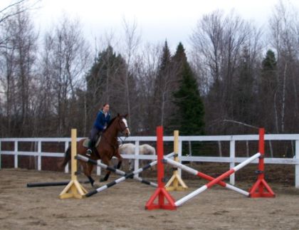 En fin de semaine j'ai sorti mes obstacles! On recommence l'entrainement, 14 avril 2012. :) - Photo de Mimo
